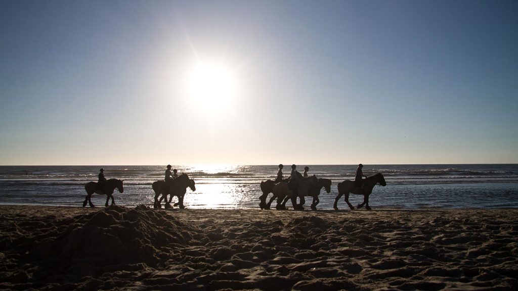horse-riders-in-the-shore-against-the-sun Anthea Hotel Tinos | Activities