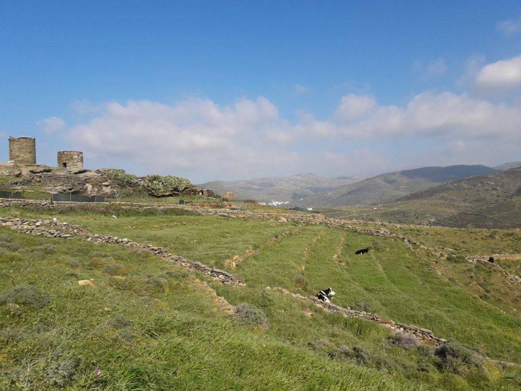 Tinos food paths 2019