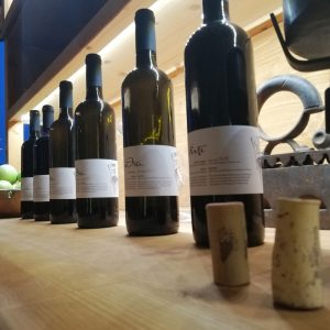 Δοκιμές τοπικών κρασιών σε συνδυασμό με τηνιακή γευσιγνωσία 7